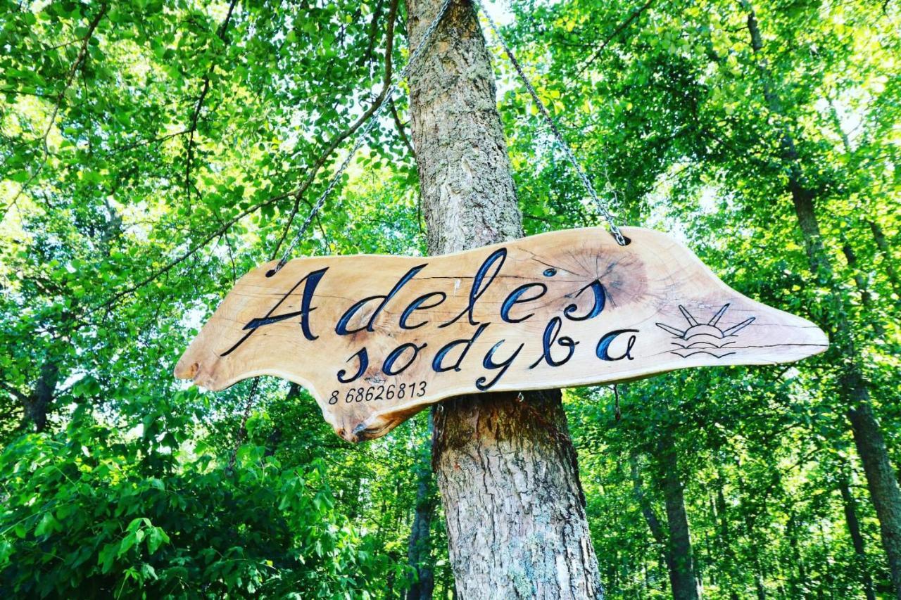 Namelis Nr 2 Adeles Sodyba Muize エクステリア 写真